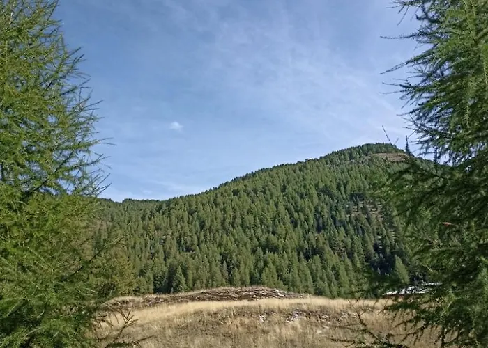 Aux Pieds Des Pistes Apartment